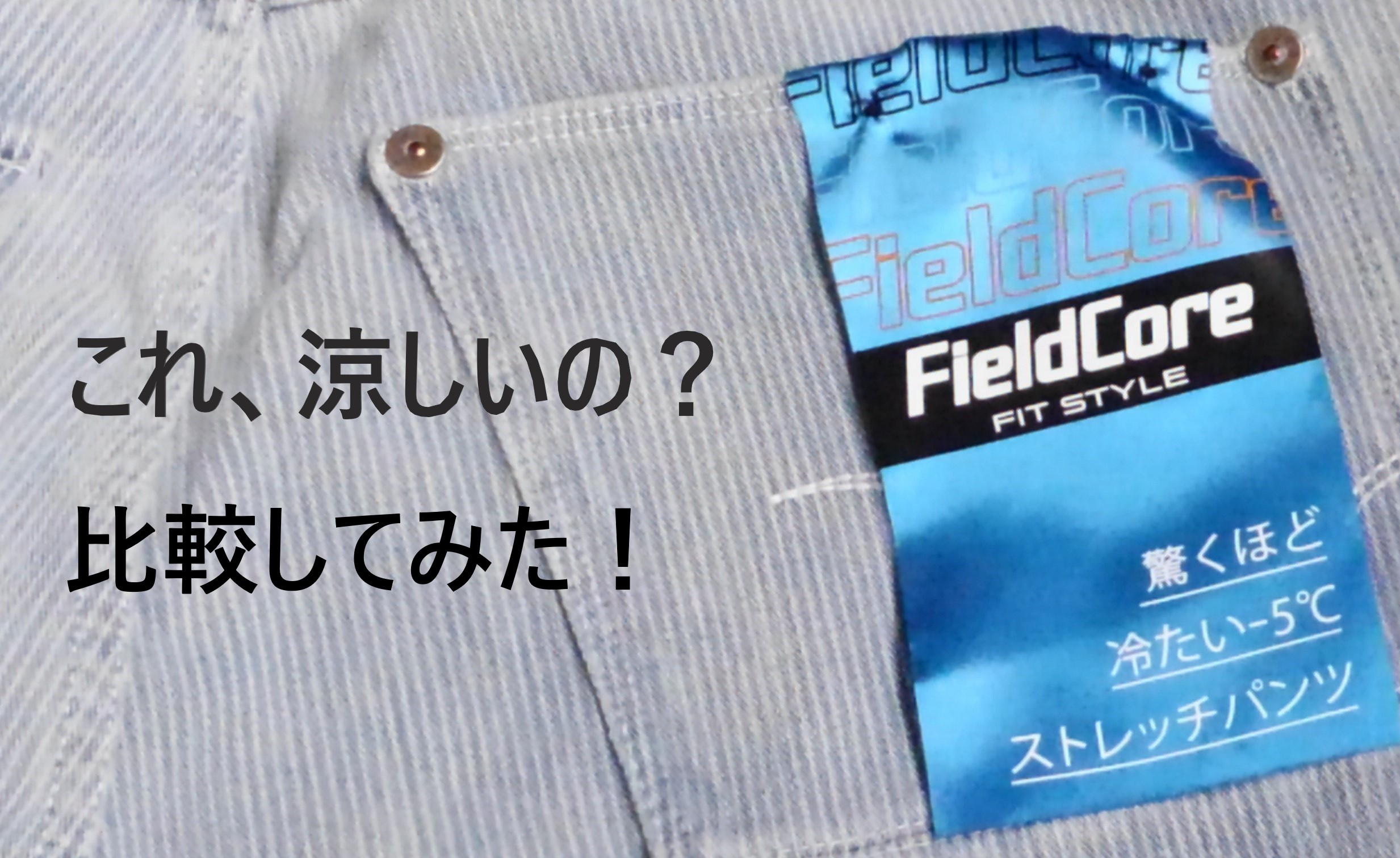 ワークマン 4d冷感アイスパンツvsベストセラー どっちが快適 オカシナブログ